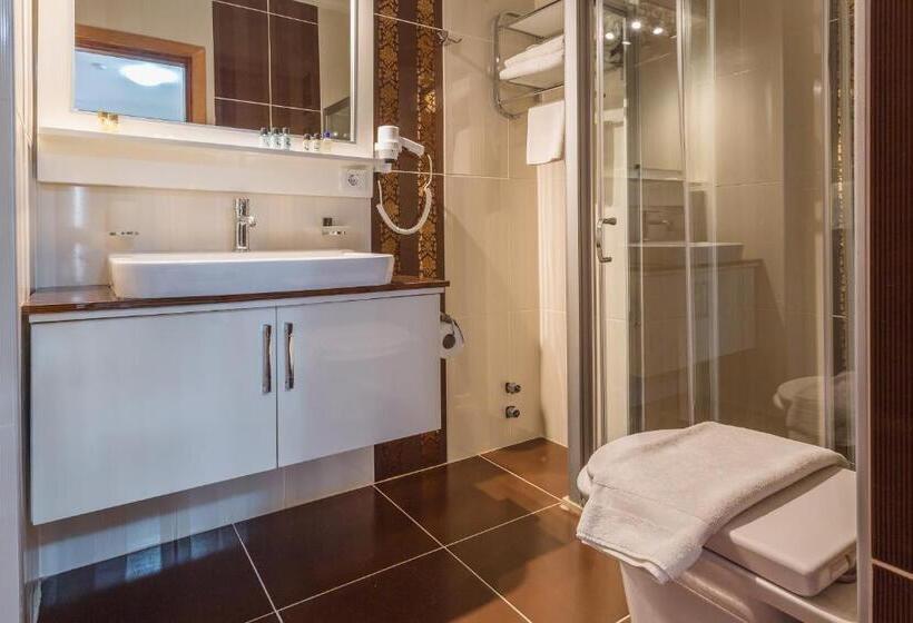 غرفة قياسية ثلاثية, Koza