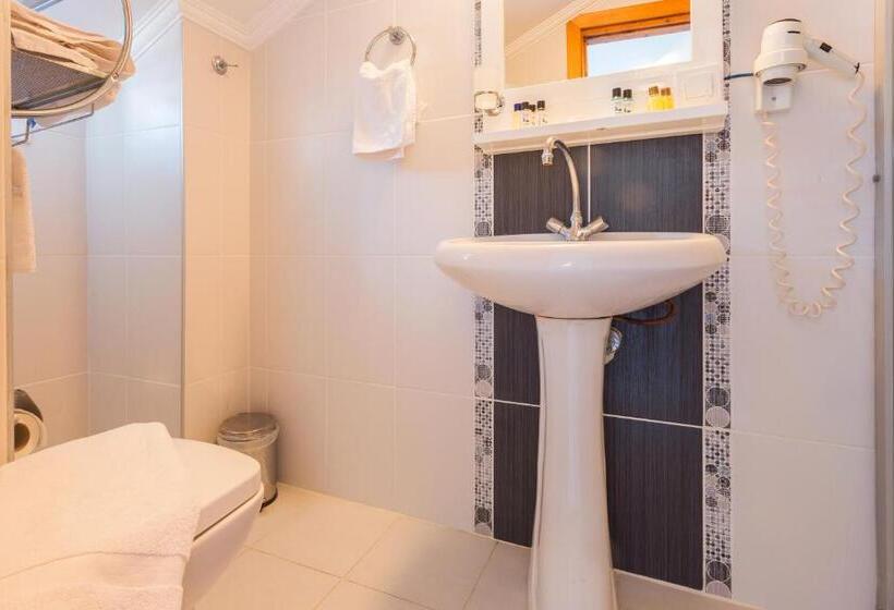 غرفة قياسية, Koza