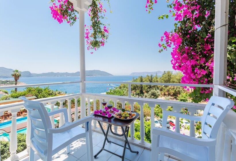 غرفة قياسية ثلاثية, Koza