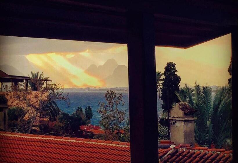 اتاق سوپریور با چشمانداز دریا, Mia