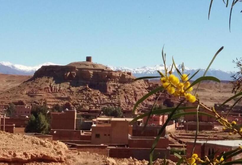 标准房带园景, Riad Paradise Of Silence