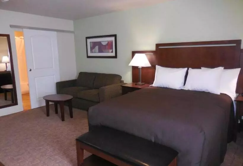 スタンダードルーム, Aspen Suites Hotel Haines