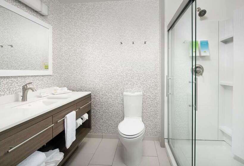 Студия Премиум, Home2 Suites By Hilton Irving/dfw Airport North