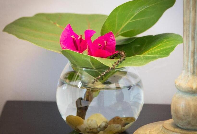 اتاق راحتی, L Imperatrice