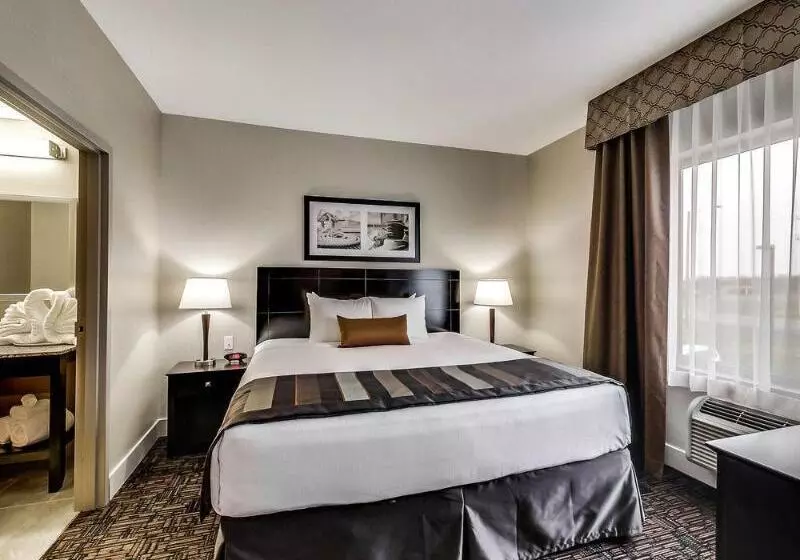 スタンダードルーム, Radisson Hotel Edmonton Airport