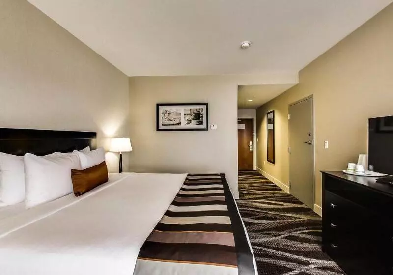 スタンダードルーム, Radisson Hotel Edmonton Airport