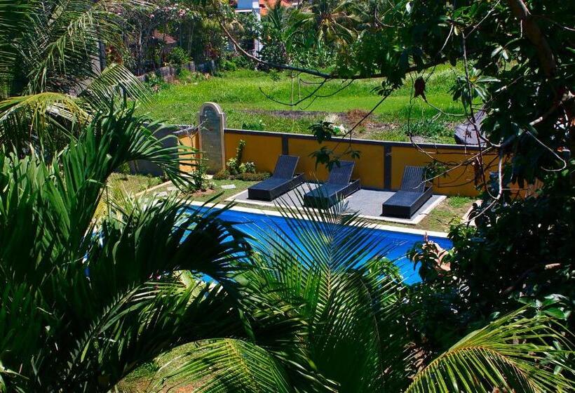 Standart Bungalov, Swan Inn