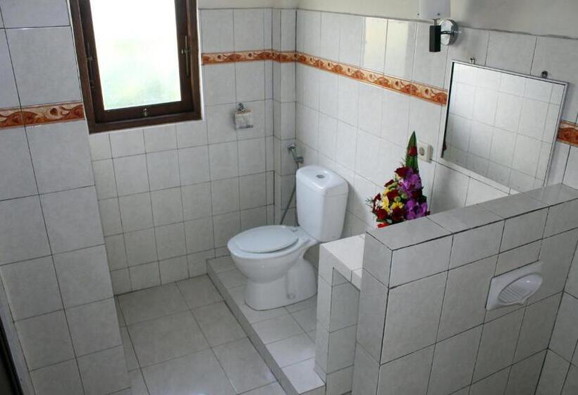 Standart Bungalov, Swan Inn