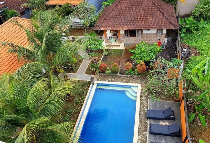 Delüks Oda, Swan Inn