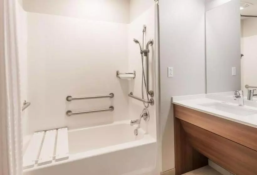 اتاق استاندارد برای معلولان, Microtel Inn & Suites By Wyndham Altoona
