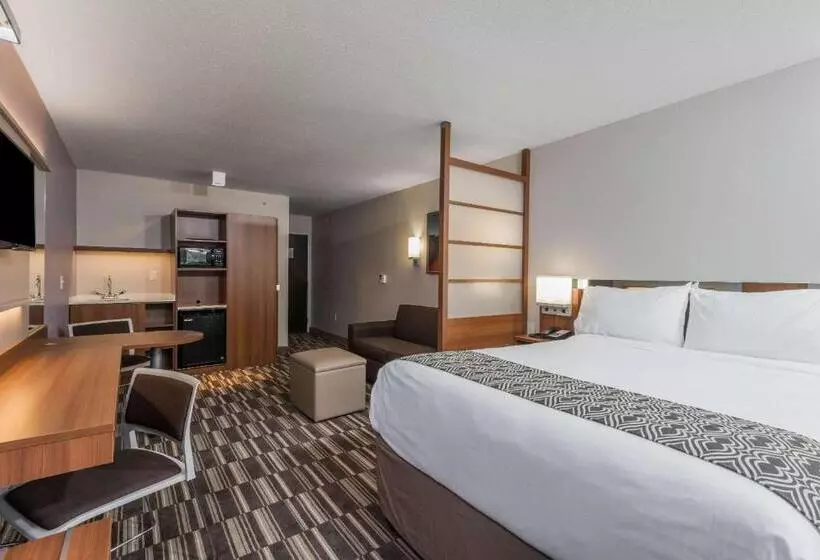 اتاق استاندارد برای معلولان, Microtel Inn & Suites By Wyndham Altoona