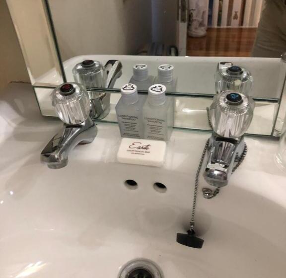 标准单人间共用浴室, Ashby Manor Guest House