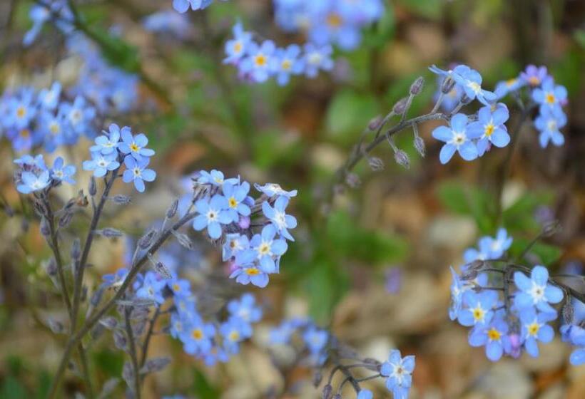 스탠다드 룸 가든 전망, Treliver Farm