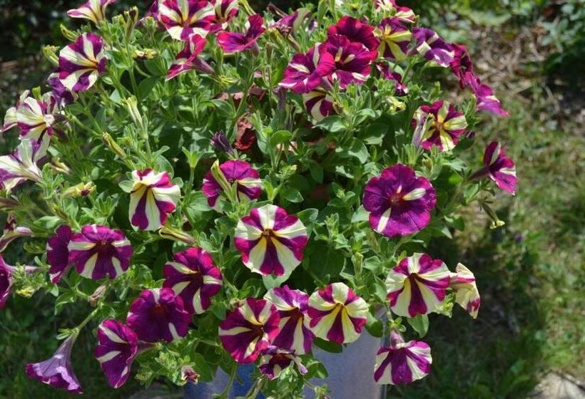 침실 2개 주택, Treliver Farm