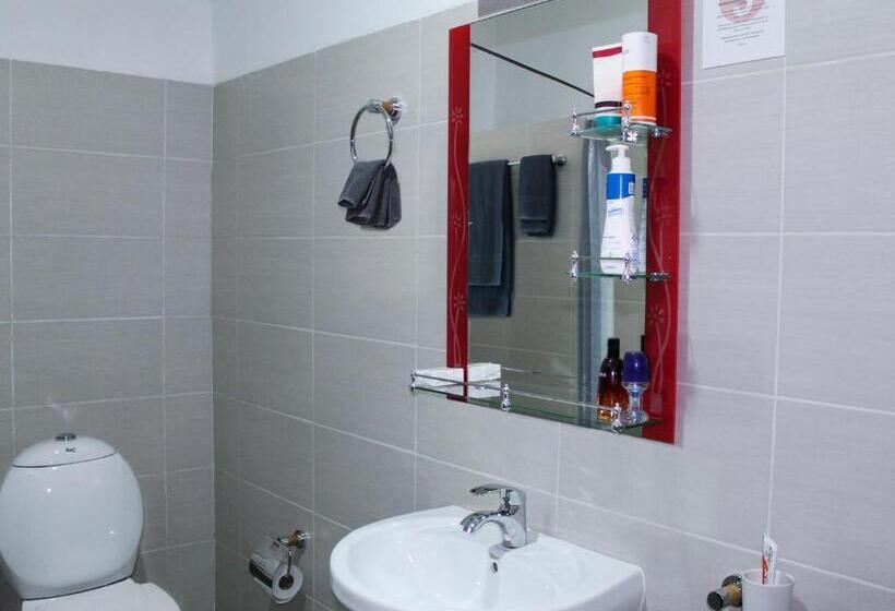 استودیو استاندارد با چشم‌انداز باغ, 5 Swiss