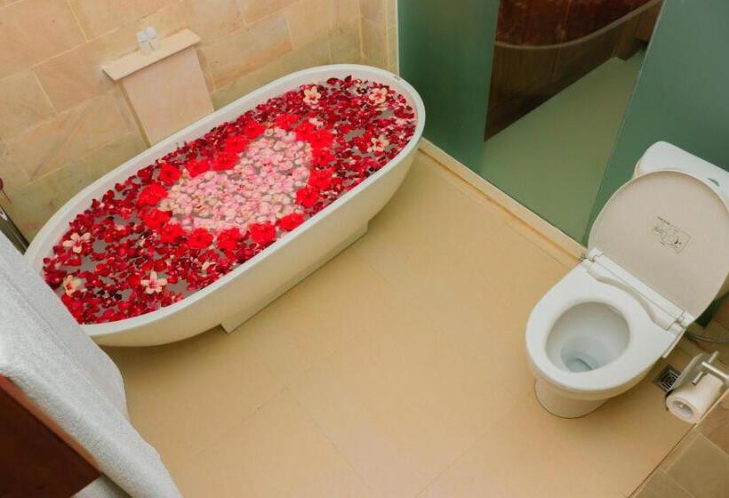 Президентский Люкс, Argya Santi Resort