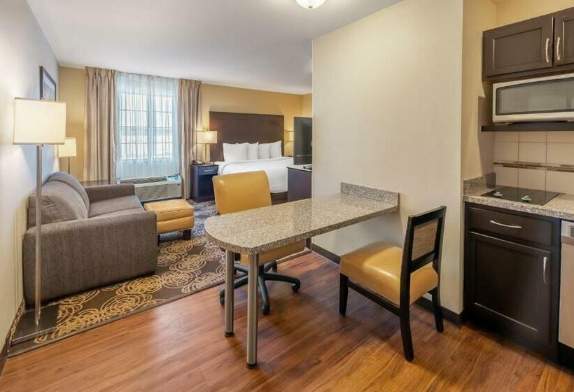 스위트 킹사이즈 침대, Landmark Suites  Williston