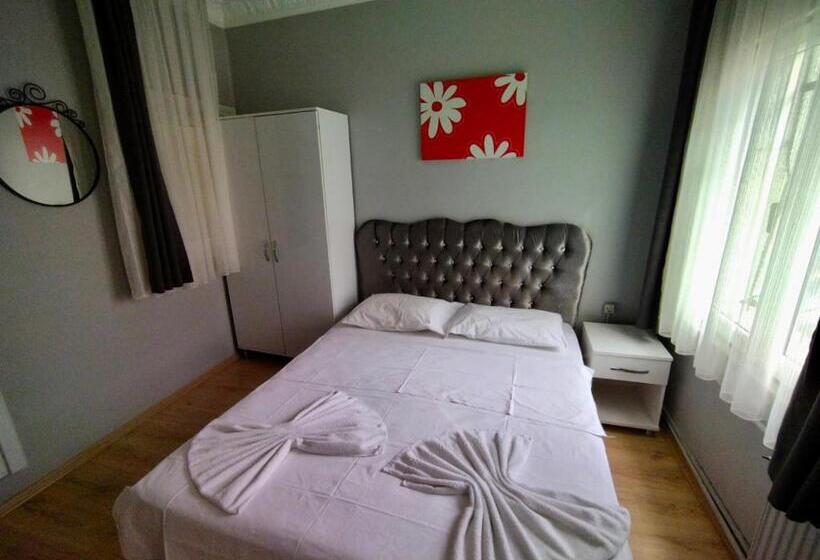 اتاق استاندارد با سرویس بهداشتی مشترک, Sultan Hostel & Guesthouse