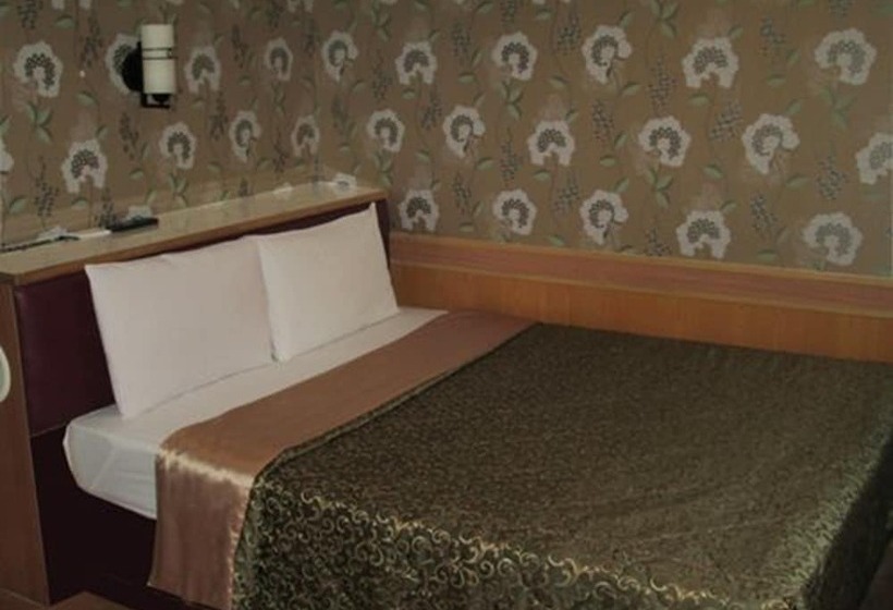 اتاق استاندارد, One Plus One