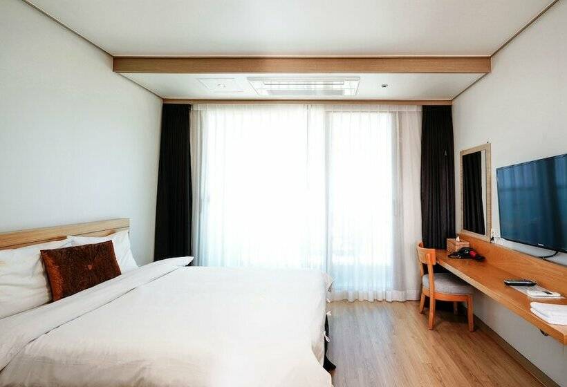 غرفة قياسية, Swansea