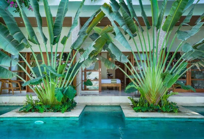 豪华房间, Maha Lokha Balangan