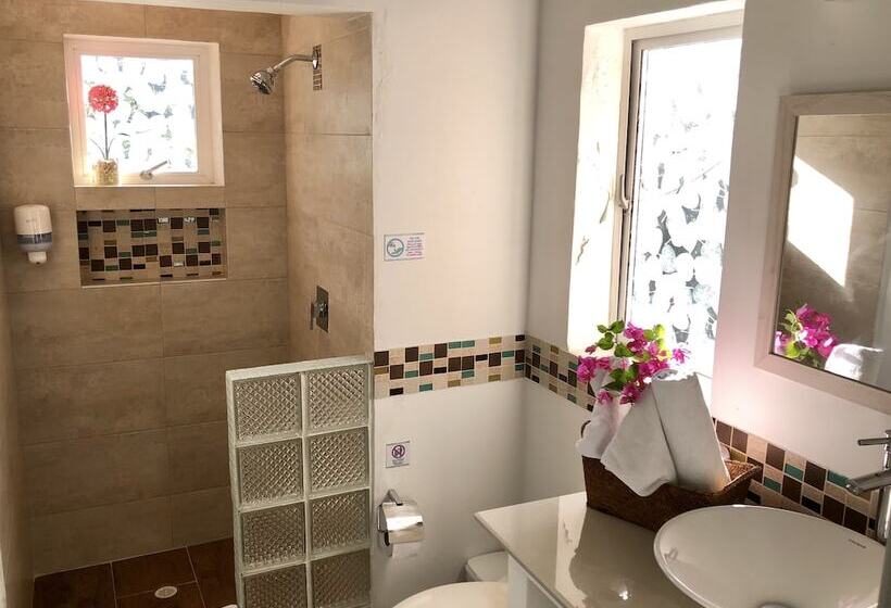 חדר סטנדרט, Casa De Las Flores