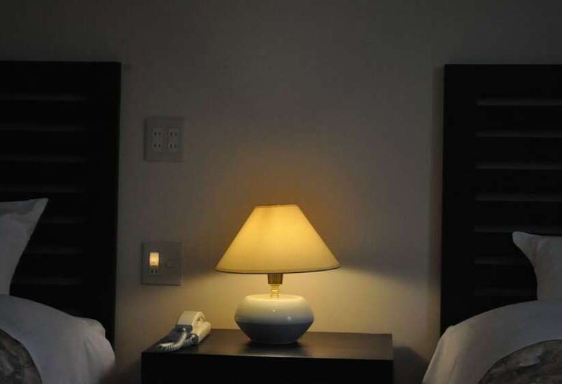 高级大房间, Niseko Freedom Inn