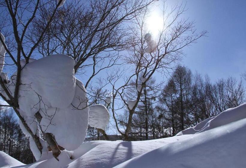 豪华三人间, Niseko Freedom Inn