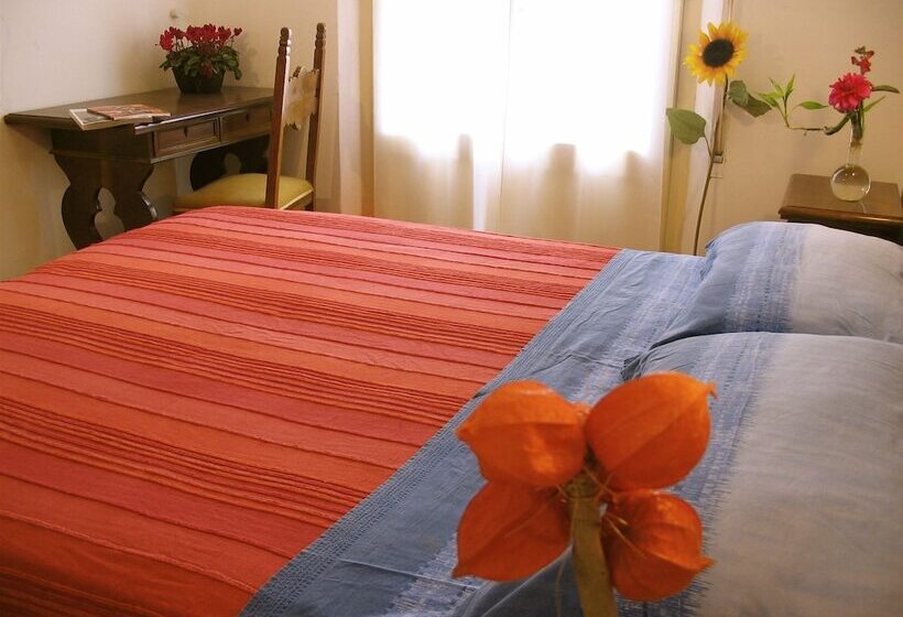 Номер Economy, Doria