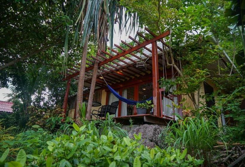 スタンダードバンガロー, La Cigale