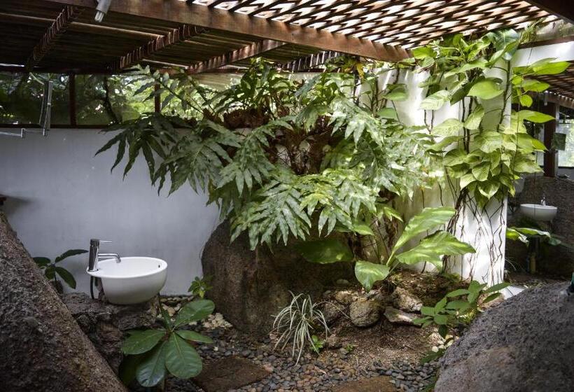 スタンダードバンガロー, La Cigale