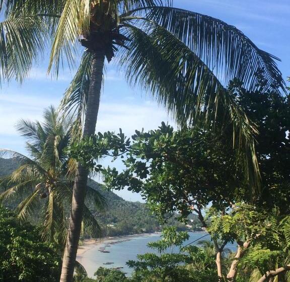 スタンダードバンガロー, La Cigale