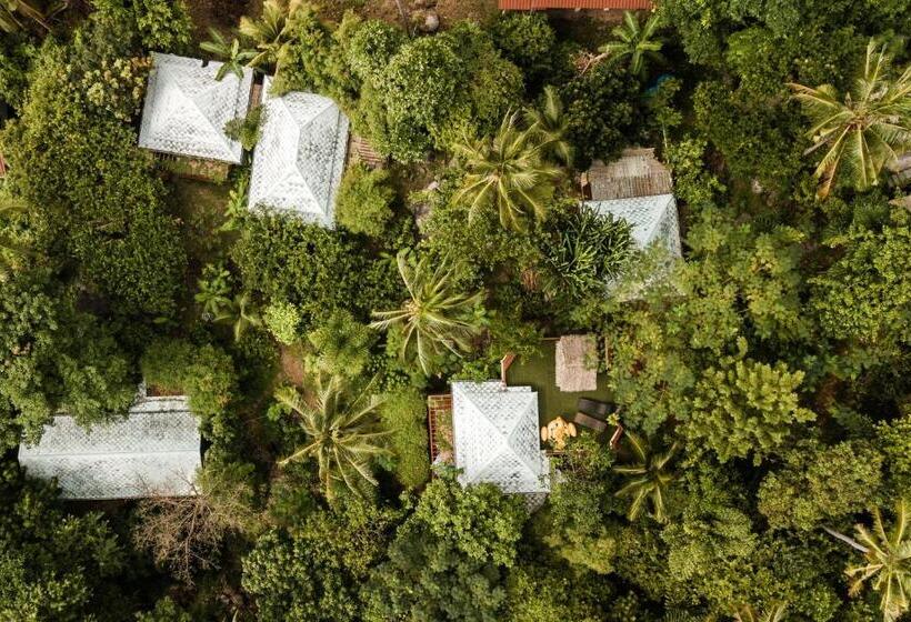 ビラホテル１ベッドルーム, La Cigale