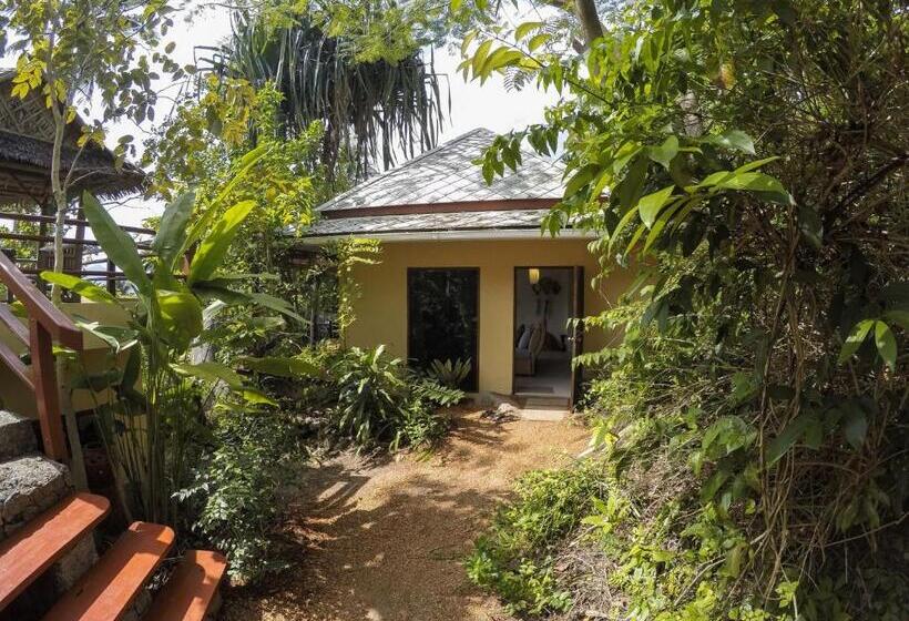 スタンダードバンガロー, La Cigale