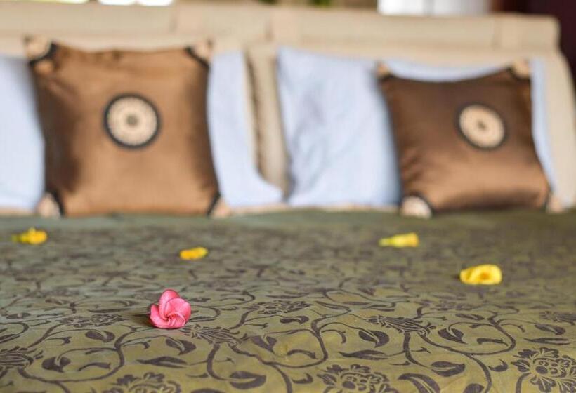 スタンダードバンガロー, La Cigale