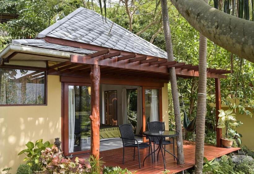 スタンダードバンガロー, La Cigale