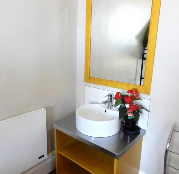 豪华房间, Ashanti Lodge Backpackers