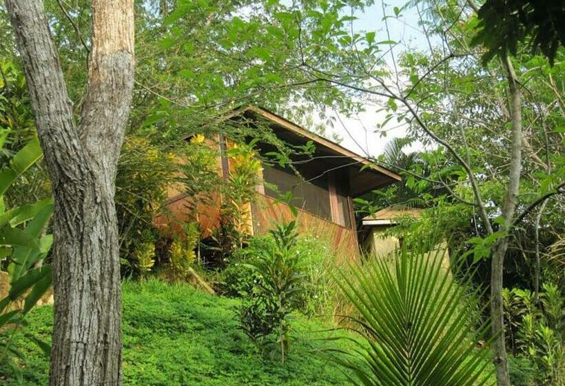 스탠다드 룸, Lodge Margouillat