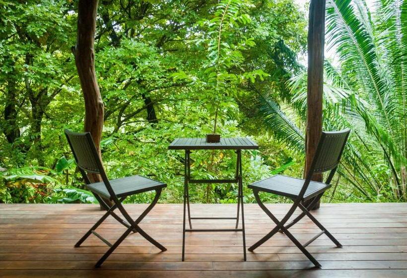 디럭스 방갈로, Lodge Margouillat