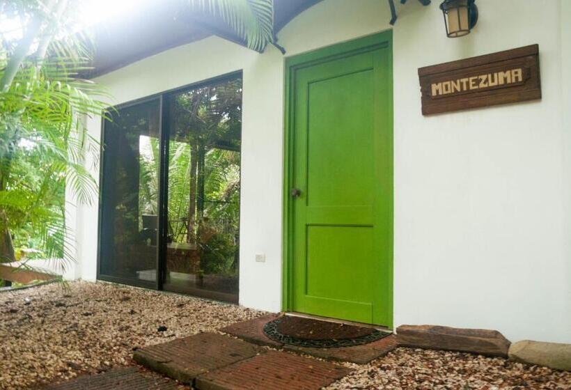 디럭스 방갈로, Lodge Margouillat