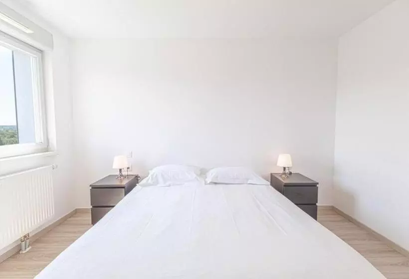 １ベッドルームのスーペリアアパートメント, Appart  Du Trident
