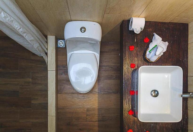 اتاق خانوادگی, Casa Mia