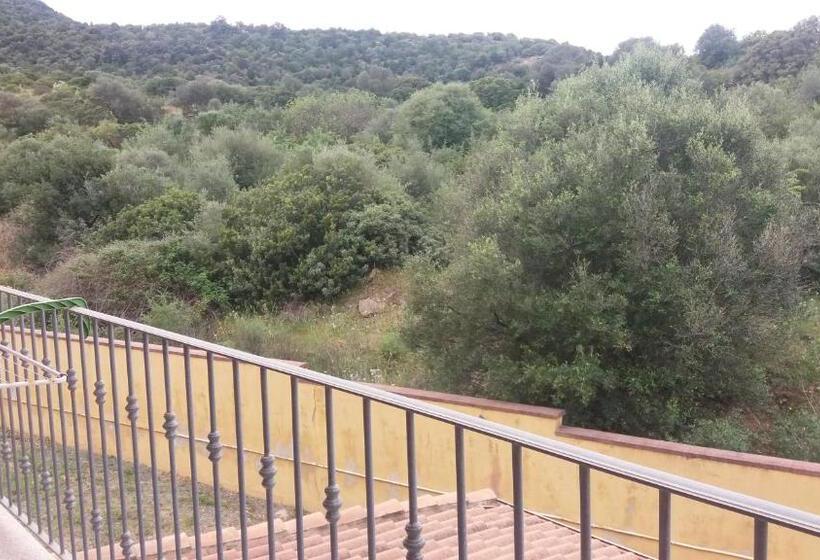 חדר סטנדרט יחיד, Jasmine