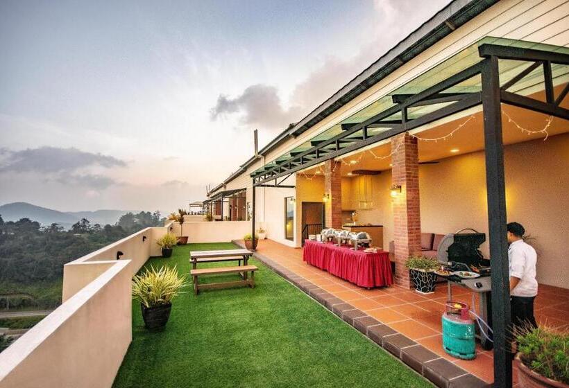 اتاق پنت هاوس, Nova Highlands