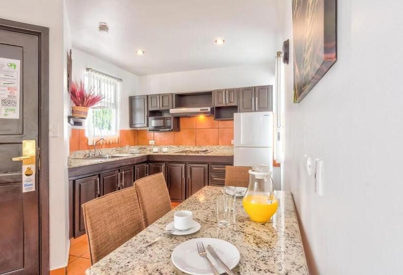 带1个卧室的豪华公寓, Residence Inn Suites Cristina