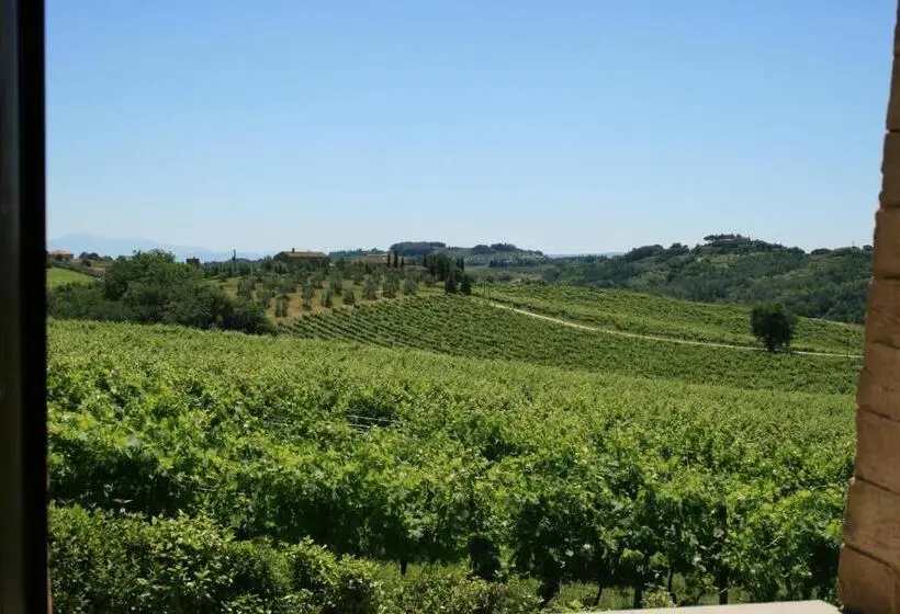 １ベッドルームアパートメント, Tenuta Di Monaciano