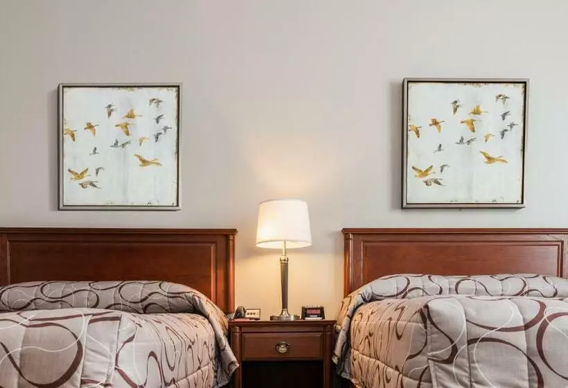 اتاق استاندارد, Adam S Airport Inn