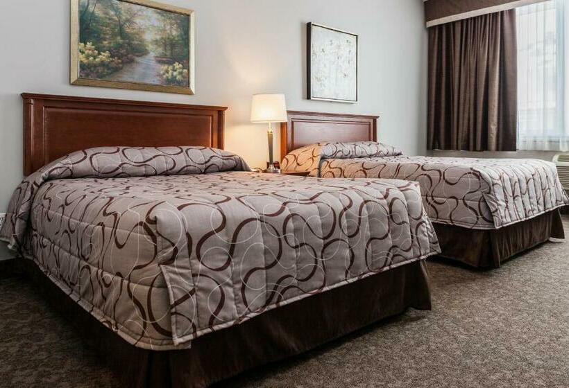 スタンダードルーム, Adam S Airport Inn