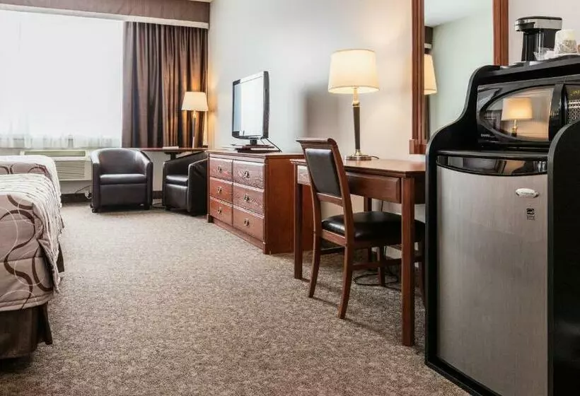 اتاق استاندارد, Adam S Airport Inn