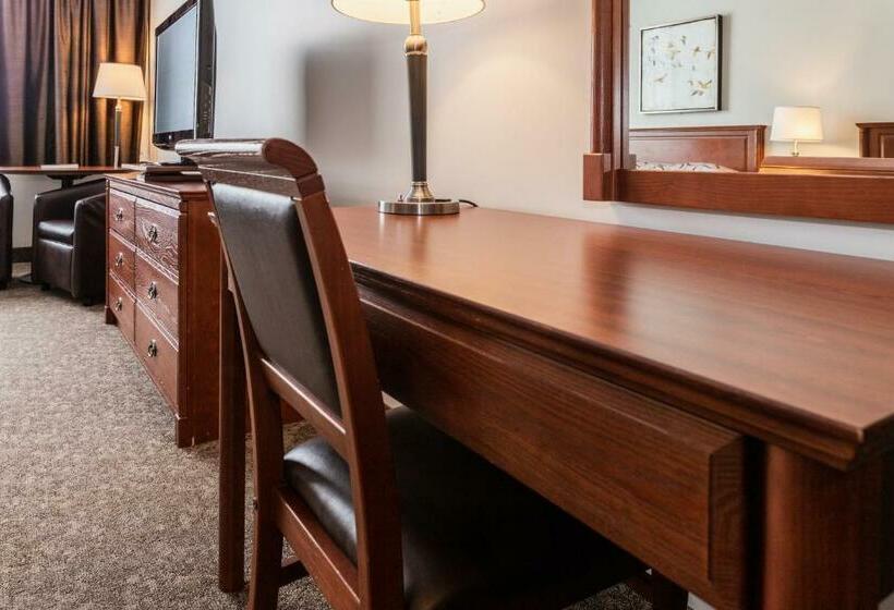 スタンダードルーム, Adam S Airport Inn